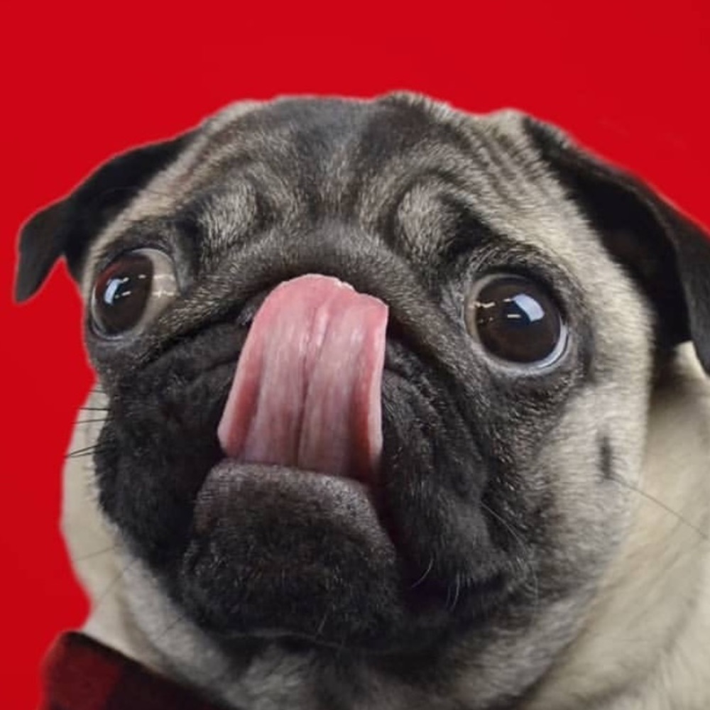 Meet your Posher, Nohely